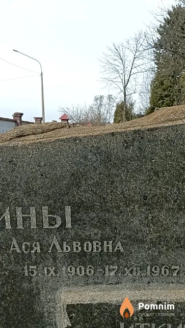 Иткина Ася Львовна