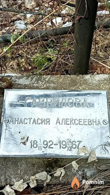 Гаврилова Анастасия Алексеевна
