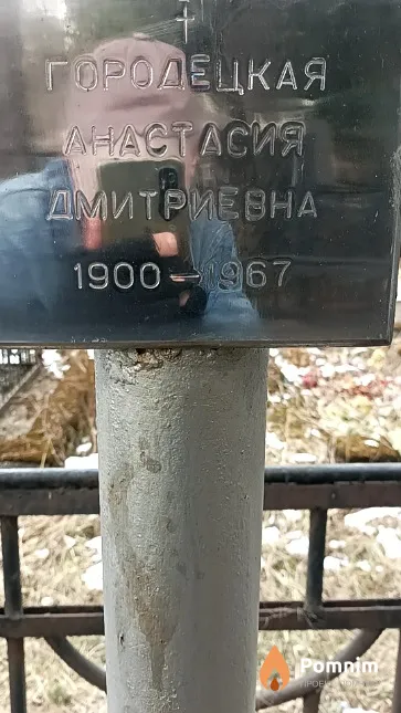 Городецкая Анастасия Дмитриевна