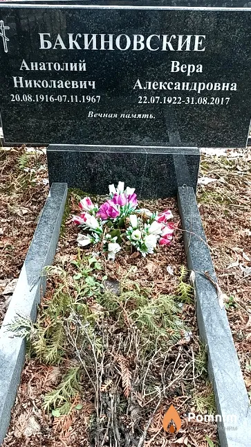 Бакиновская Вера Александровна