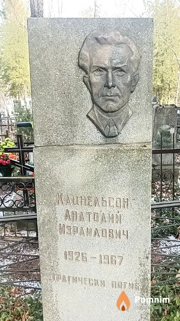 Кацнельсон Анатолий Израйлович