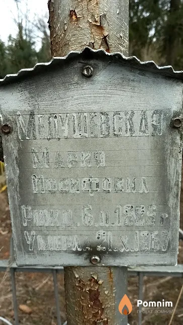 Медушевская Мария Иосифовна