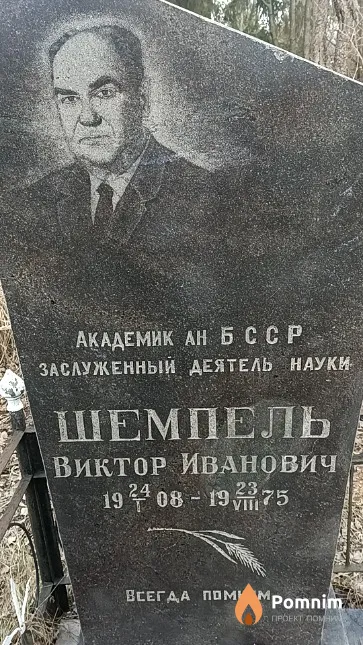Шемпель Нина Ипиолитовна