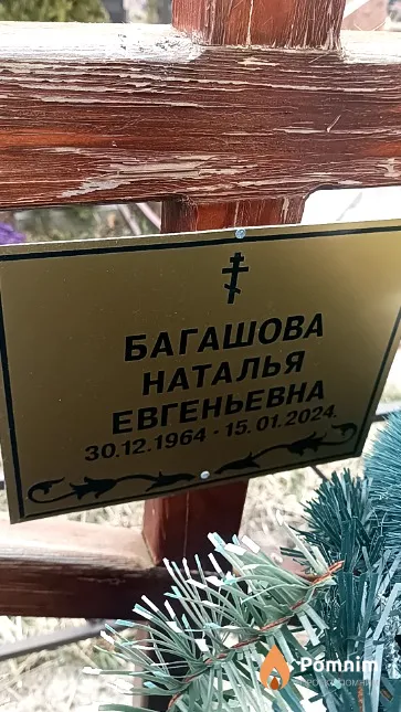 Багашова Наталья Евгеньевна