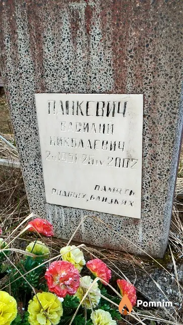 Панкевич Василий Николаевич