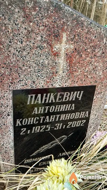 Панкевич Антонина Константиновна