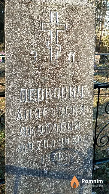 Левкович Анастасия Якубовна