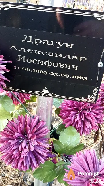 Драгун Александр Иосифович