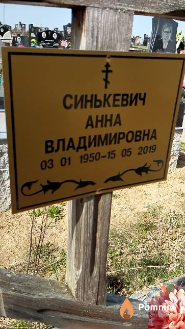 Синькевич Анна Владимировна