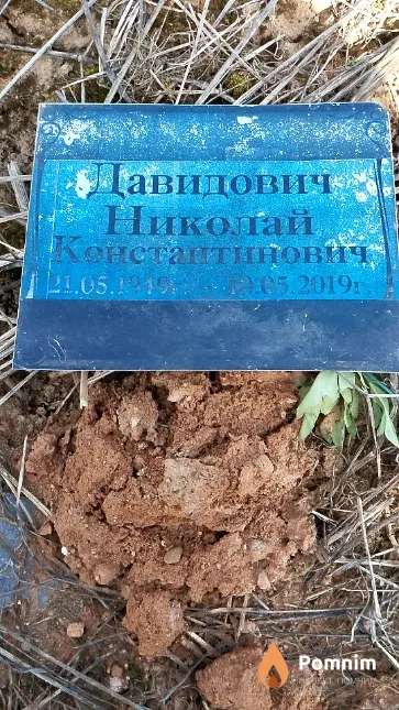 Давидович Николай Константинович