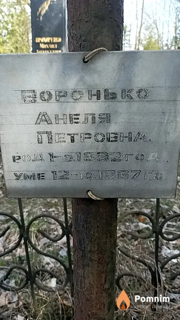 Воронько Анеля Петровна