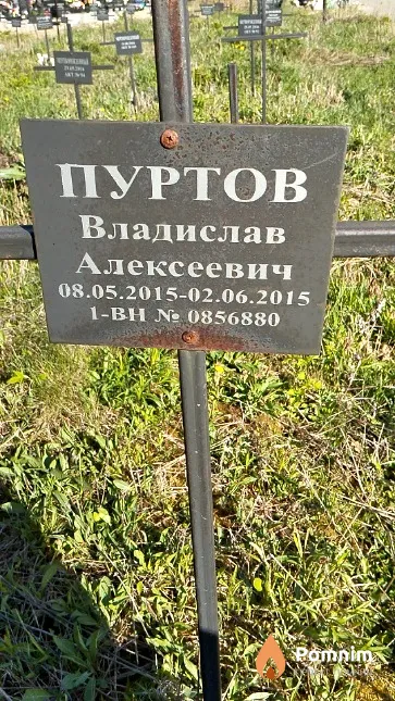 Пуртов Владислав Алексеевич