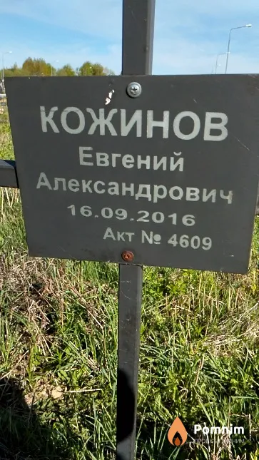 Кожинов Евгений Александрович