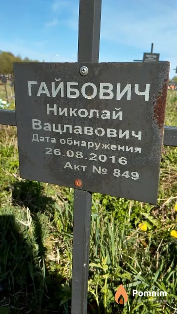Гайбович Николай Вацлавович