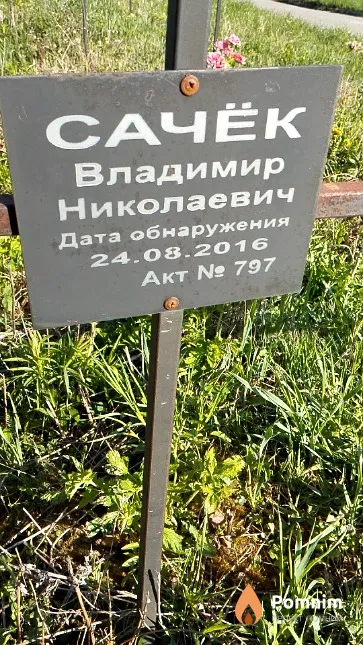 Сачёк Владимир Николаевич