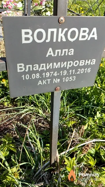 Волкова Алла Владимировна