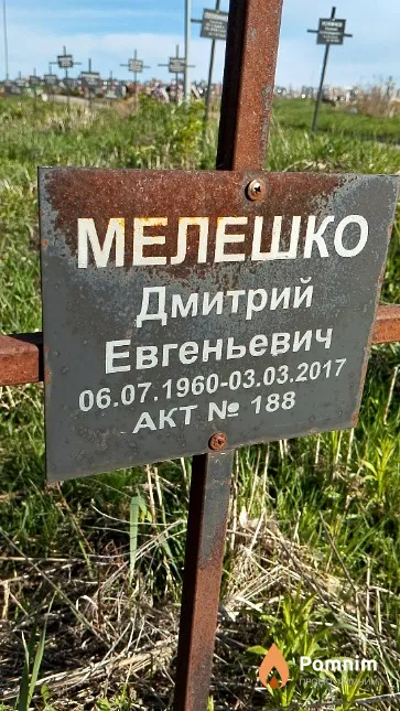 Мелешко Дмитрий Евгеньевич