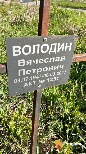 Володин Вячеслав Петрович