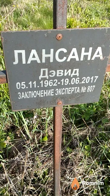 Лансана Дэвид