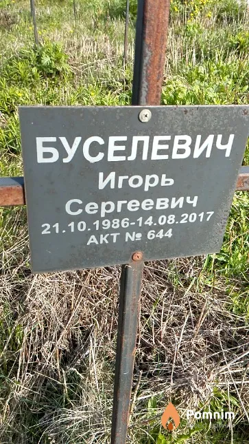 Буселевич Игорь Сергеевич