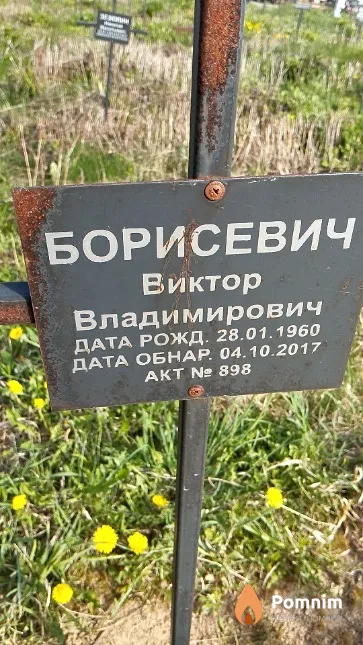 Борисевич Виктор Владимирович