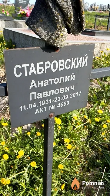 Стабровский Анатолий Павлович