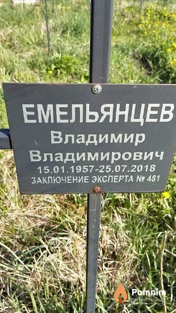 Емельянцев Владимир Владимирович