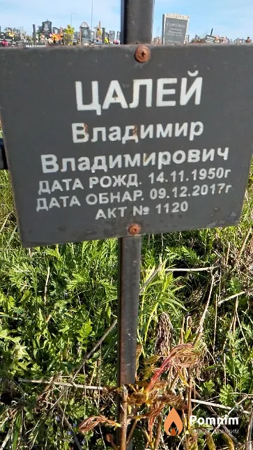 Цалей Владимир Владимирович