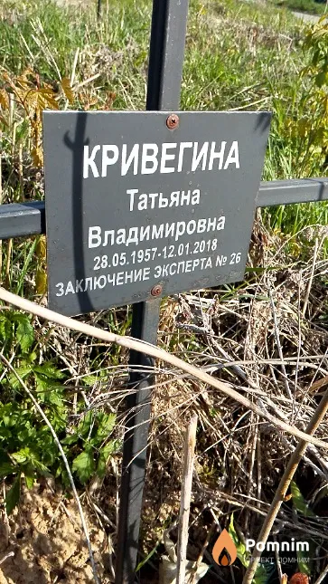 Кривегина Татьяна Владимировна
