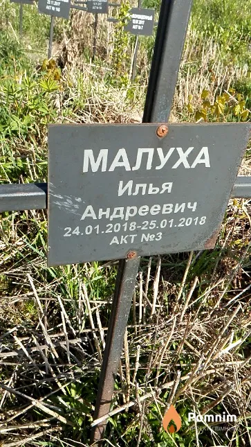 Малуха Илья Андреевич