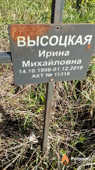 Высоцкая Ирина Михайловна