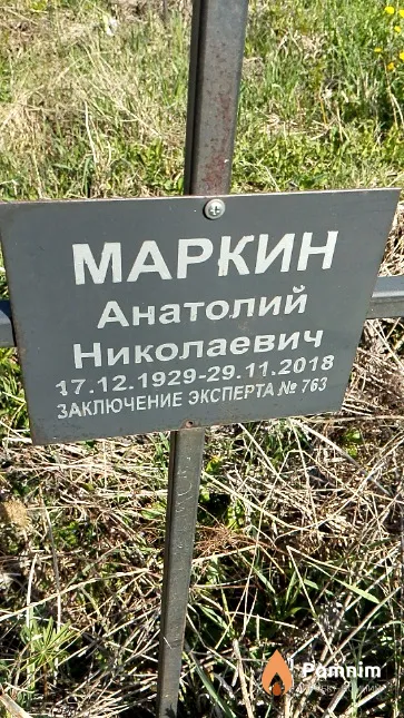 Маркин Анатолий Николаевич