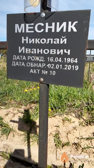 Месник Николай Иванович