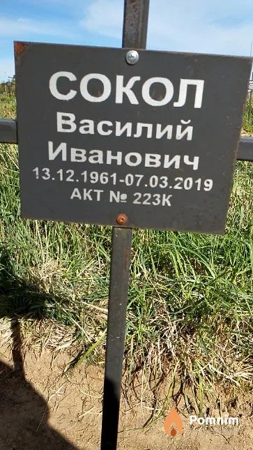 Сокол Василий Иванович