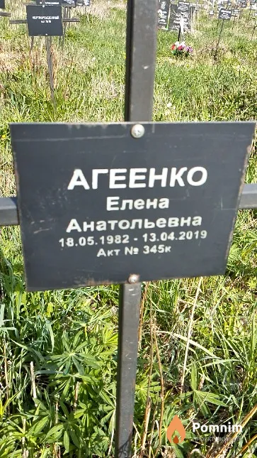 Агеенко Елена Анатольевна