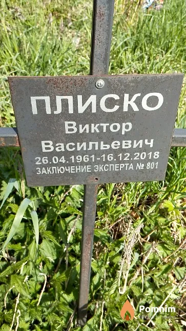 Плиско Виктор Васильевич