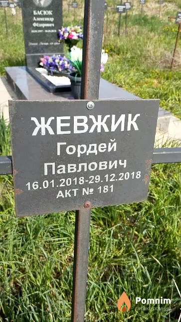 Жевжик Гордей Павлович