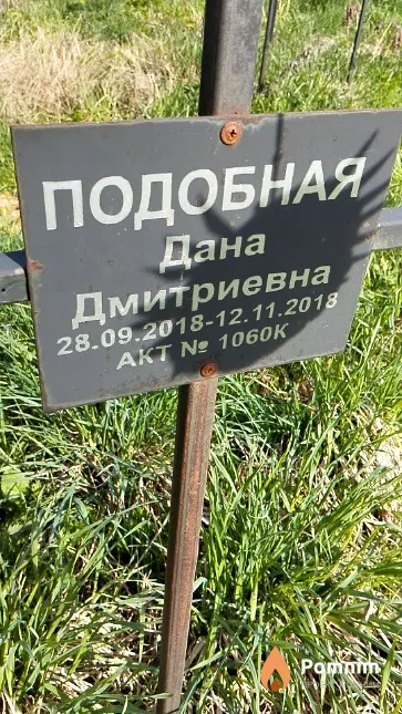 Подобная Дана Дмитриевна