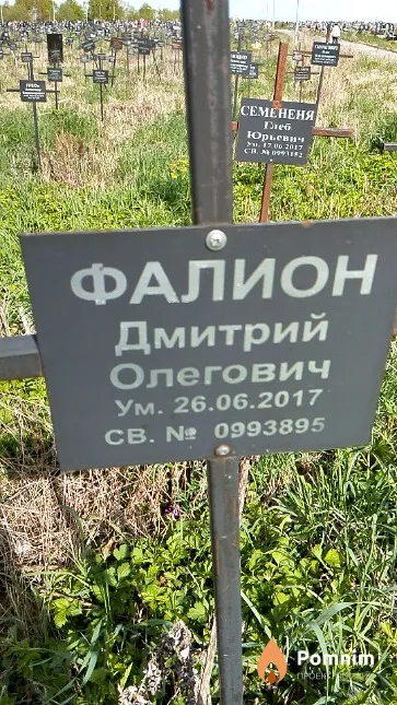 Фалион Дмитрий Олегович