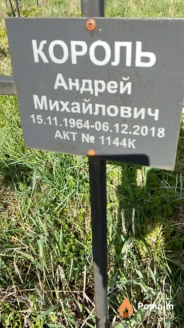Король Андрей Михайлович