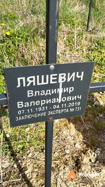 Ляшевич Владимир Валерианович