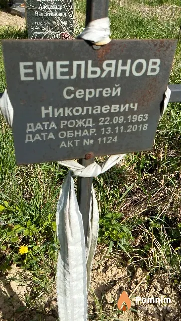 Емельянов Сергей Николаевич