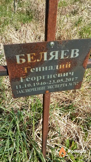 Беляев Геннадий Георгиевич