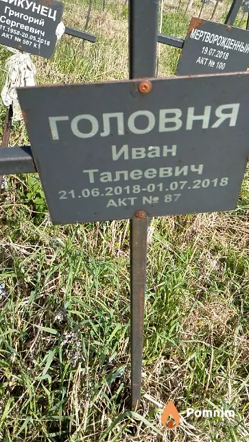 Головня Иван Талеевич