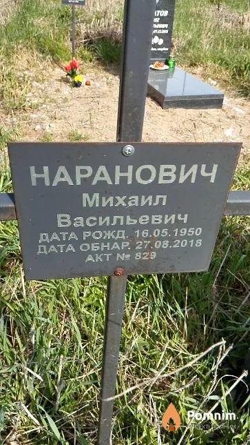 Наранович Михаил Васильевич