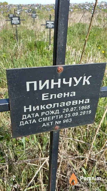 Пинчук Елена Николаевна