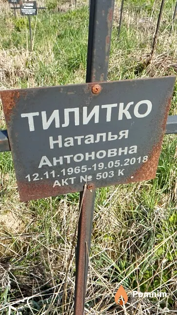 Тилитко Наталья Антоновна