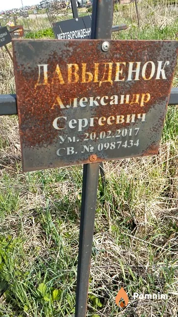 Давыденок Александр Сергеевич