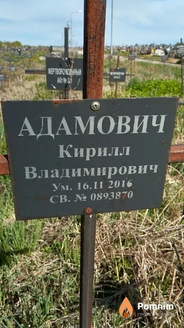 Адамович Кирилл Владимирович