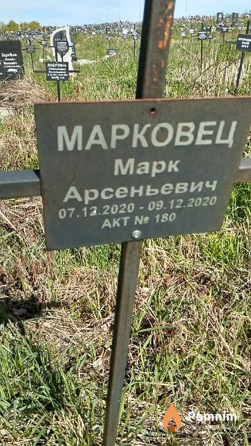 Марковец Марк Арсеньевич